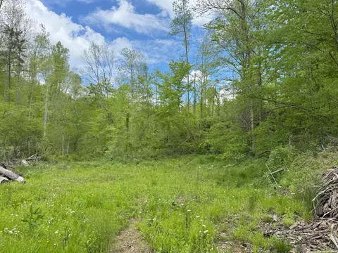 9999 Wind Cave Rd, Mckee, KY 40447 photo 8