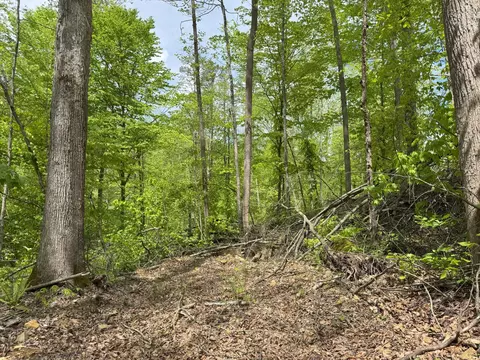 9999 Wind Cave Rd, Mckee, KY 40447 photo 16