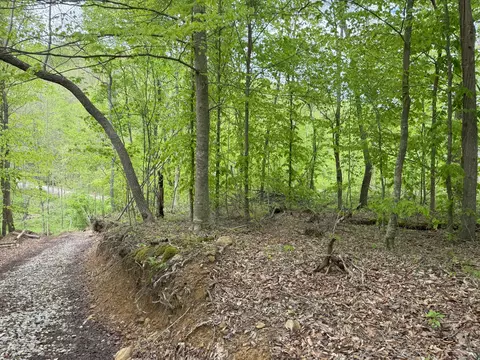 9999 Wind Cave Rd, Mckee, KY 40447 photo 14
