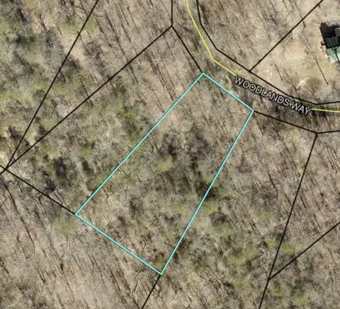 lot195 Stillwater, Russell Springs, KY 42642