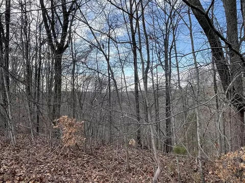 lot14 The Village At Laurelwood, Nancy, KY 42544