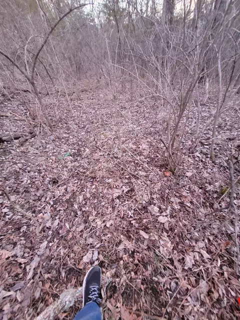 4 Lot 91012 # -1, Corinth, KY 41010