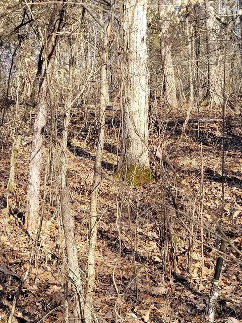 5 Lots 135 # -2, Corinth, KY 41010