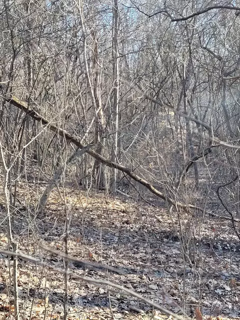 5 Lots 246 # -3, Corinth, KY 41010