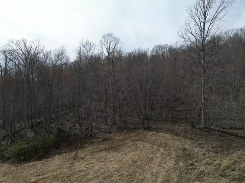 9999 Logan Ln, Corbin, KY 40701 photo 3