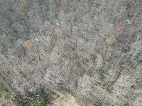 9999 Logan Ln, Corbin, KY 40701 photo 7