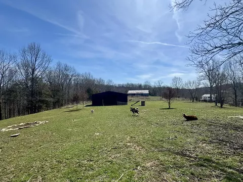 1245 Turner Rd, Williamstown, KY 41097