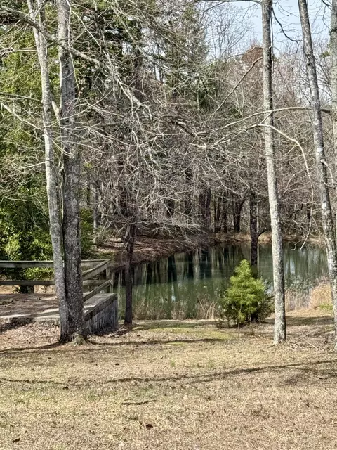 View/Area - 125 Mcdowell Rd, Burnside, KY 42519 photo 2 of 14