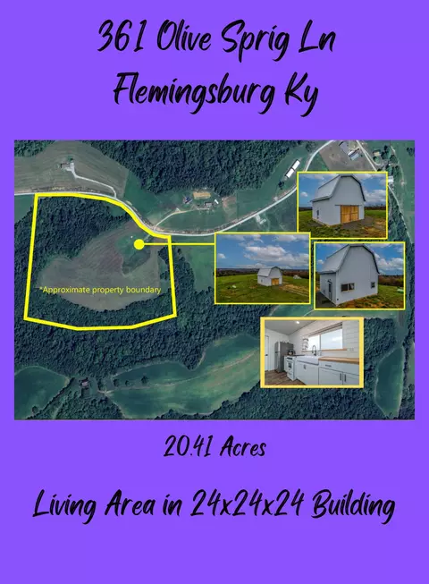 361 Olive Sprig Ln, Flemingsburg, KY 41041
