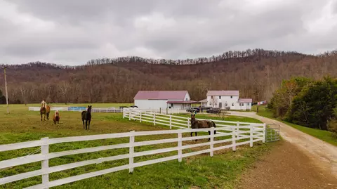 2509 Pine Grove Rd, Olympia, KY 40358
