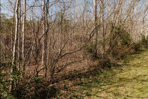 20 Bear Path, Morehead, KY 40351 photo 24