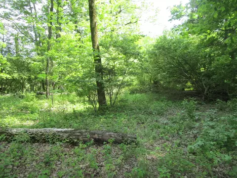 596 Overlook Dr, Lancaster, KY 40444 photo 11