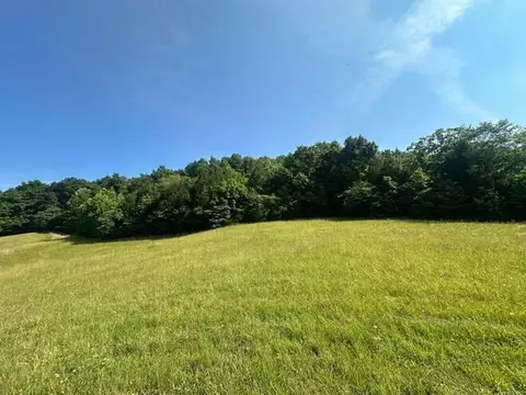 11-14 Long Hollow Acres, Burkesville, KY 42717