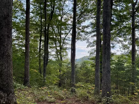80 Paradise Aly, Russell Springs, KY 42642
