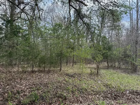 0 Long Branch Road Rd, Beattyville, KY 41311