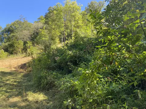 9842 Ky 223, Flat Lick, KY 40935