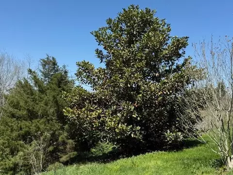 Other - 130 N Shawhan Rd, Berry, KY 41003 photo 2 of 3