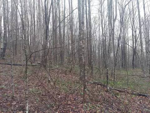 0 Leighton Rd, Irvine, KY 40336 photo 8