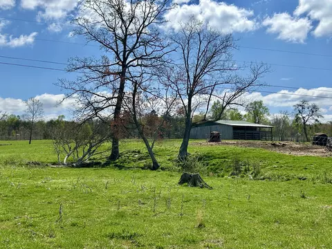 428 Dick Wilson Rd, Strunk, KY 42649 photo 9