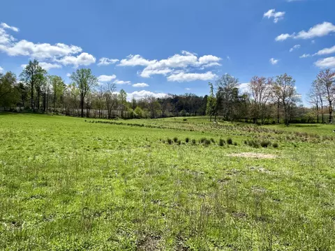 428 Dick Wilson Rd, Strunk, KY 42649 photo 17