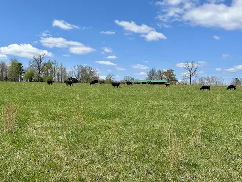 428 Dick Wilson Rd, Strunk, KY 42649 photo 5