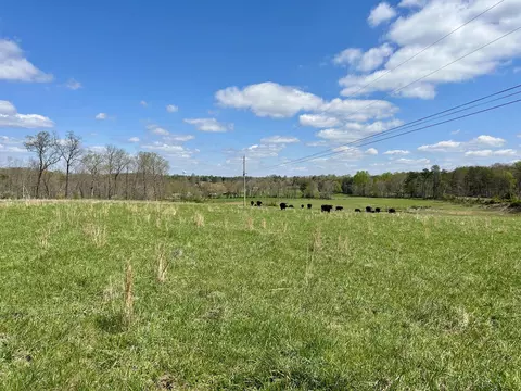 428 Dick Wilson Rd, Strunk, KY 42649 photo 21
