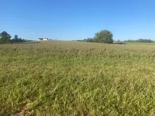 0000 Cedar Rd, Stamping Ground, KY 40379