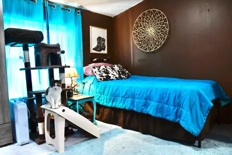 158 Halcomb East Rd, Orlando, KY 40460 photo 8