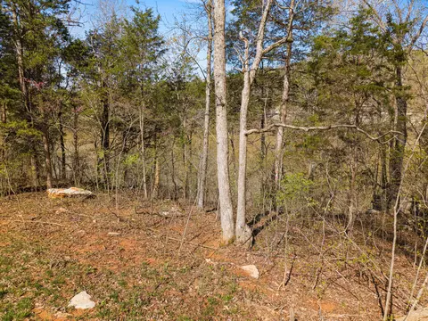 Other - 34 N Fork Dr, Burnside, KY 42519 photo 16 of 16