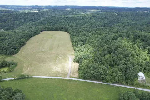 tbd Mcroberts Rd, Wallingford, KY 41093