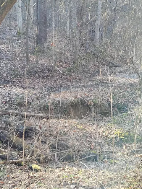 5 Lots 791113 # -3, Corinth, KY 41010