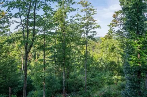 336 Chestnut Log Rd, Campton, KY 41301 photo 45