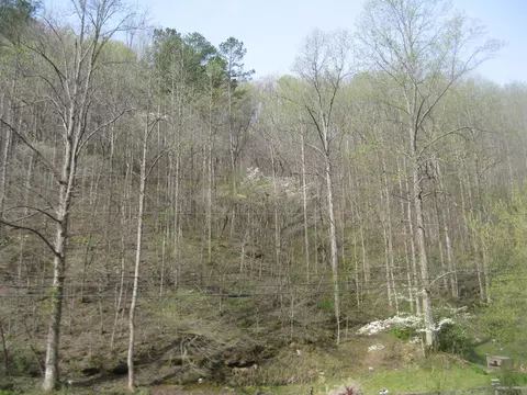 4698 Ells Branch Rd, Manchester, KY 40962