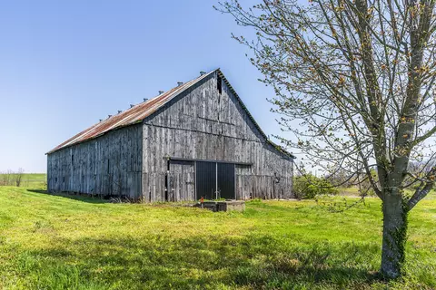 502 Steele Rd, Paris, KY 40361 photo 4
