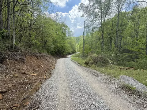 460 Bailey Branch Rd, Walker, KY 40997 photo 2