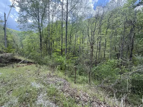460 Bailey Branch Rd, Walker, KY 40997 photo 4