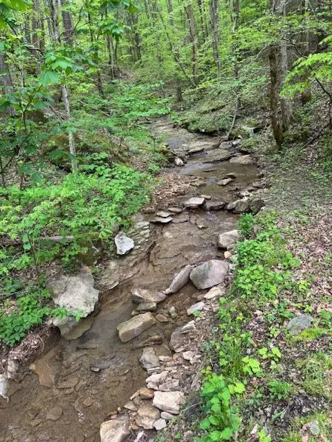 3911 Middlefork Rd, Warbranch, KY 40874