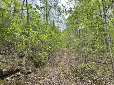 Other - 20 Mountain Path, Burnside, KY 42519 photo 15 of 17