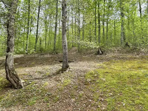 Exterior - 20 Mountain Path, Burnside, KY 42519 photo 10 of 14