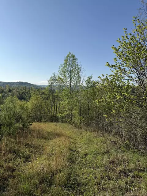 1 Low Gap Rd, Pine Knot, KY 42635