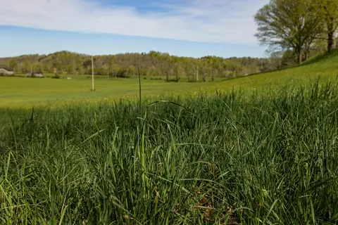 534 Lower Gilmore Rd, Campton, KY 41301 photo 31