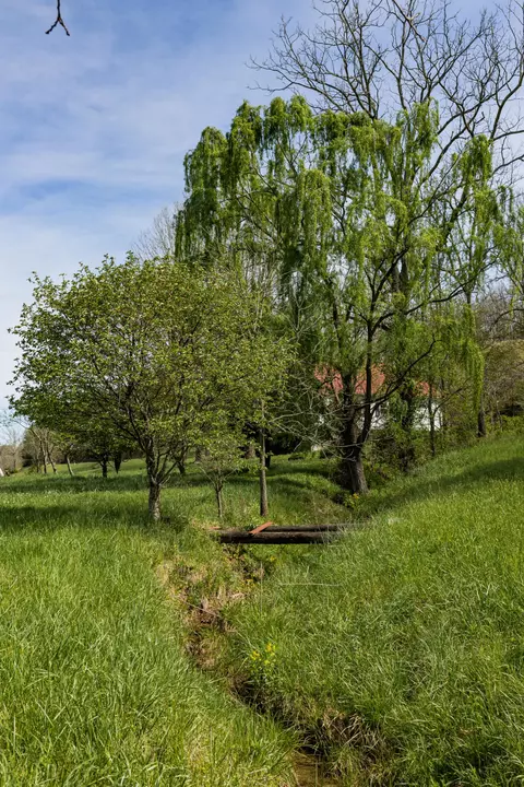 534 Lower Gilmore Rd, Campton, KY 41301 photo 40