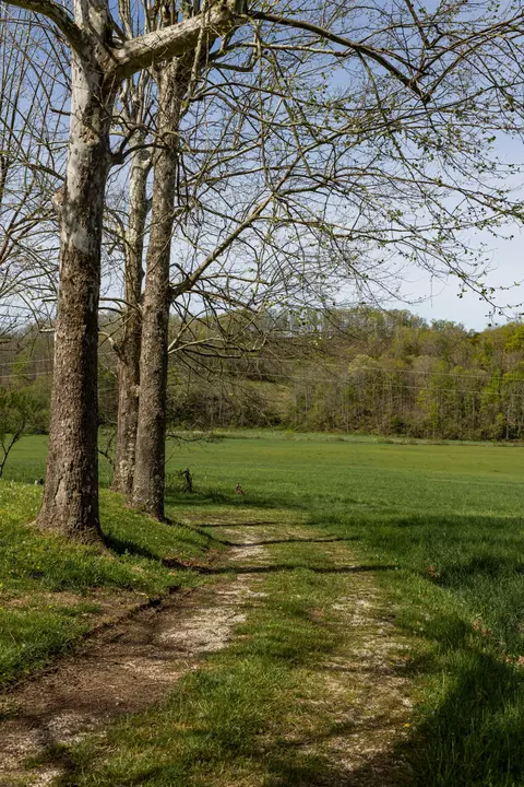 534 Lower Gilmore Rd, Campton, KY 41301 photo 29
