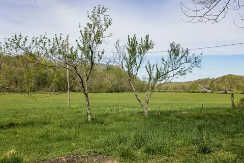 534 Lower Gilmore Rd, Campton, KY 41301 photo 42