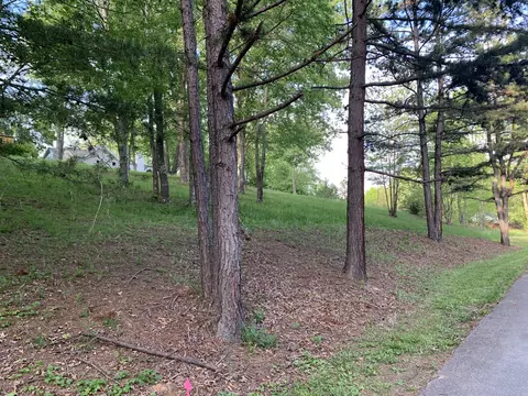 157 Orchard Ln, Corbin, KY 40701 photo 3