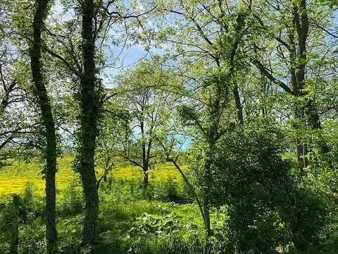 537 Stone Rd, Georgetown, KY 40324 photo 9