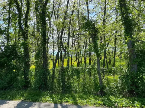 537 Stone Rd, Georgetown, KY 40324 photo 10
