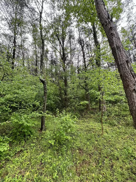 98 Clover Ln, Brodhead, KY 40409 photo 19