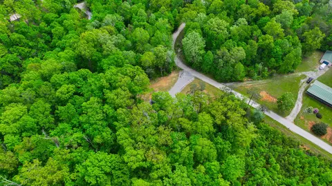 View/Area - 1455 Pine Tree Rd, Nancy, KY 42544 photo 6 of 13