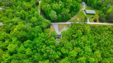 View/Area - 1455 Pine Tree Rd, Nancy, KY 42544 photo 7 of 13